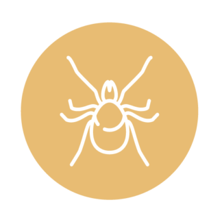 ANTIPARASITIKA