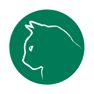 Katze