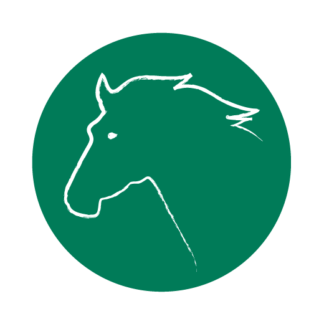 Pferd